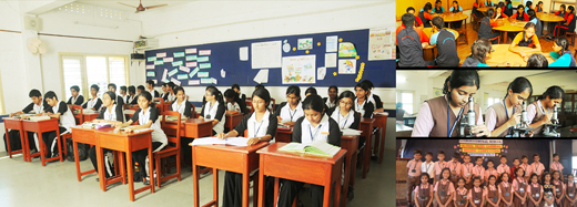 cbse 24 oct 17